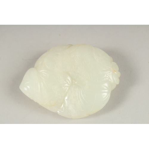 1034 - A GOOD CHINESE CARVED JADE LILY PAD, 7cm x 5.5cm.