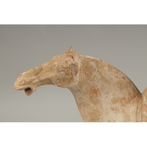 1040 - A TANG POTTERY HORSE AND RIDER, 32cm high.