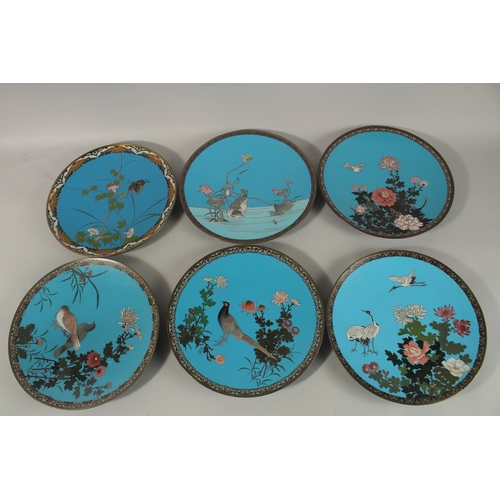 1277 - A COLLECTION OF SIX JAPANESE BLUE GROUND CLOISONNE ENAMELLED DISHES, depicting various flora and fau... 