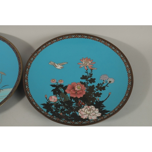 1277 - A COLLECTION OF SIX JAPANESE BLUE GROUND CLOISONNE ENAMELLED DISHES, depicting various flora and fau... 