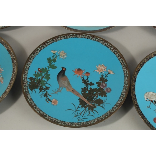 1277 - A COLLECTION OF SIX JAPANESE BLUE GROUND CLOISONNE ENAMELLED DISHES, depicting various flora and fau... 