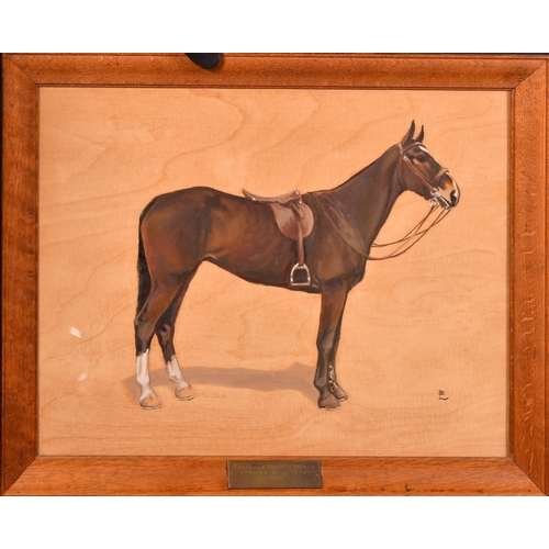 311 - Attributed to Lionel Edwards (1878-1966), 'Jemima', 1st prize winner in the Eglington Hunter Trials,... 