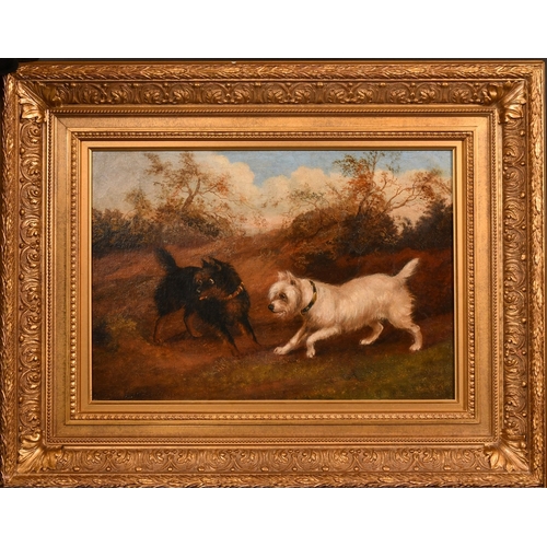 317 - 19th Century English School, terriers waiting by burrows, oil on canvas, 14