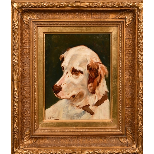 319 - William Grant Stevenson (1849-1919), a head study of dog, oil on board, signed, 9