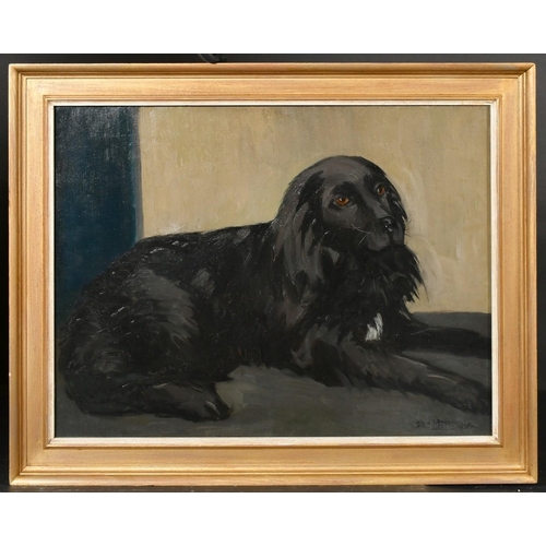 323 - Sydney Merrills (20th Century) A portrait of a long haired black dog, oil on canvas, signed, inscrip... 