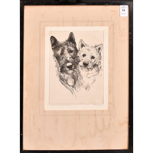 54 - J. Stewart, 'Aberdeen and West Highland Terriers', etching, signed and inscribed in pencil, plate si... 