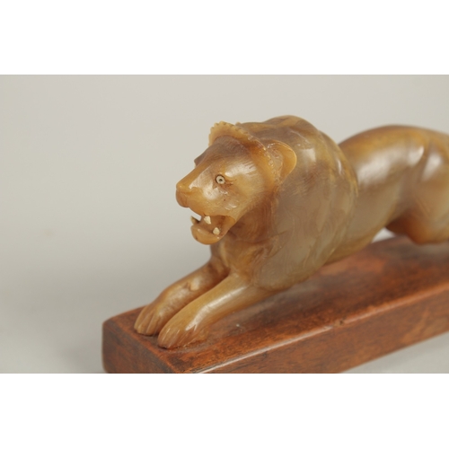 143 - A PAIR OF 19TH CENTURY INDIAN CARVED HORN LIONS ON WOODEN STANDS, 20cm long (excl. base).