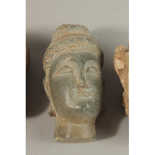 157 - A GROUP OF THREE INDIAN GANDHARA CARVED HEADS, buddha 9.5cm high, (3).