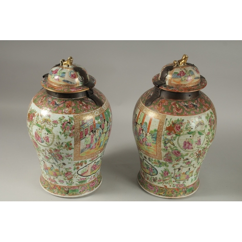 176 - A GOOD PAIR OF 18TH CENTURY CANTON ENAMELLED GINGER JARS AND COVERS, with metal mounts, painted with... 