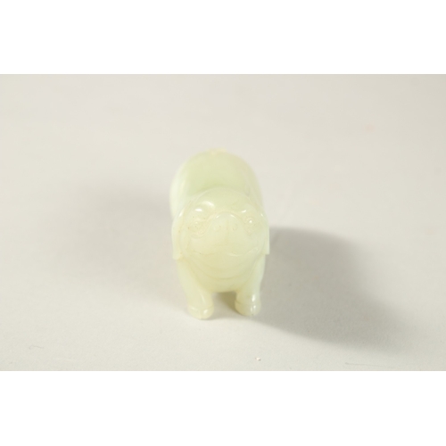 210 - A CHINESE JADE CARVING OF A PIG, 5cm long.