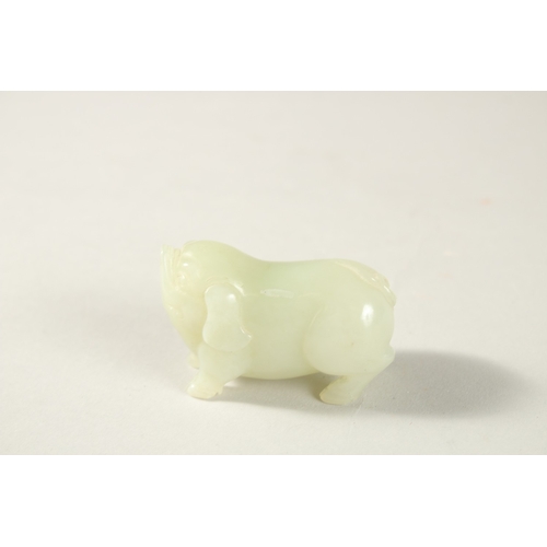 210 - A CHINESE JADE CARVING OF A PIG, 5cm long.