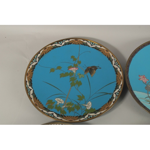 288 - A COLLECTION OF SIX JAPANESE BLUE GROUND CLOISONNE ENAMELLED DISHES, depicting various flora and fau... 