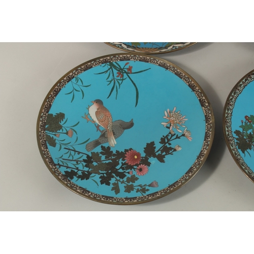 288 - A COLLECTION OF SIX JAPANESE BLUE GROUND CLOISONNE ENAMELLED DISHES, depicting various flora and fau... 