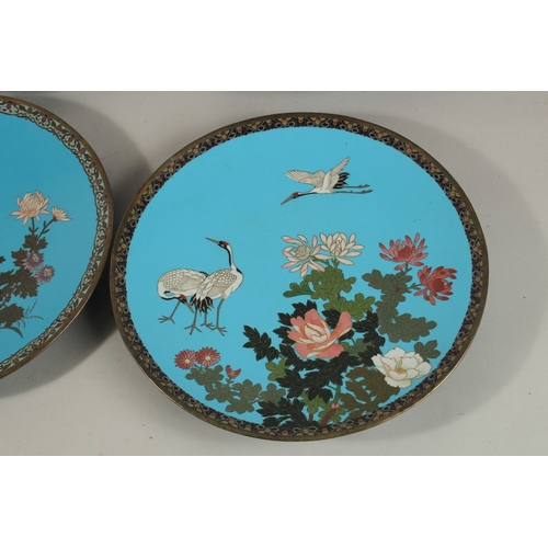 288 - A COLLECTION OF SIX JAPANESE BLUE GROUND CLOISONNE ENAMELLED DISHES, depicting various flora and fau... 