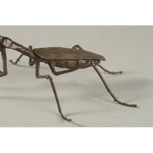 312 - A BRONZE OKIMONO OF A PRAYING MANTIS, with articulated legs.