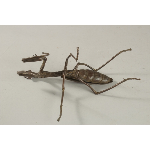 312 - A BRONZE OKIMONO OF A PRAYING MANTIS, with articulated legs.