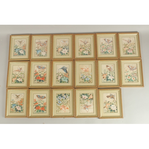 82 - A COLLECTION OF SEVENTEEN CHINESE PITH PAINTINGS, each depicting butterflies and flora, uniformly fr... 