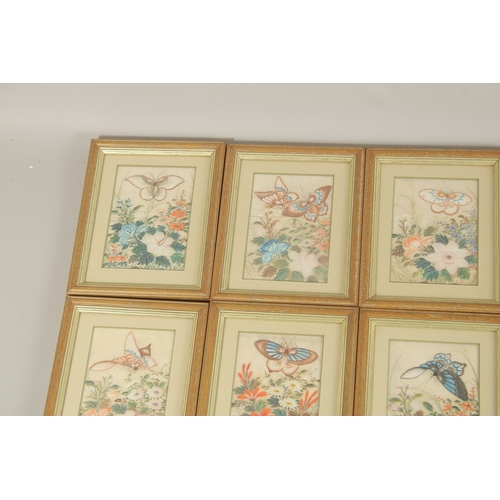 82 - A COLLECTION OF SEVENTEEN CHINESE PITH PAINTINGS, each depicting butterflies and flora, uniformly fr... 