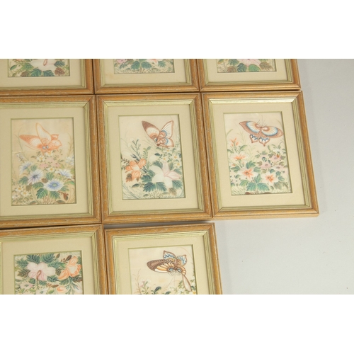 82 - A COLLECTION OF SEVENTEEN CHINESE PITH PAINTINGS, each depicting butterflies and flora, uniformly fr... 