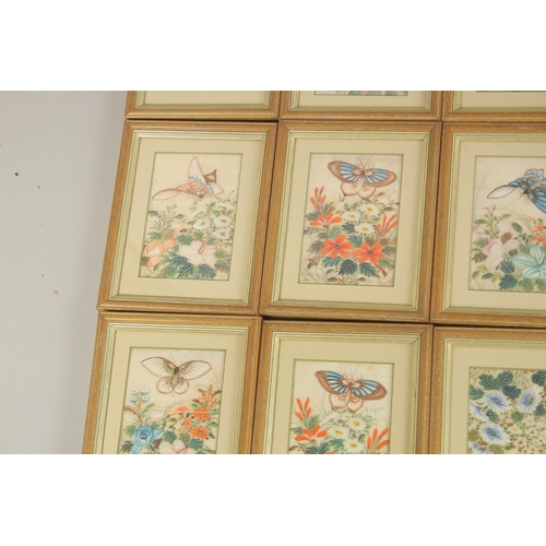 82 - A COLLECTION OF SEVENTEEN CHINESE PITH PAINTINGS, each depicting butterflies and flora, uniformly fr... 