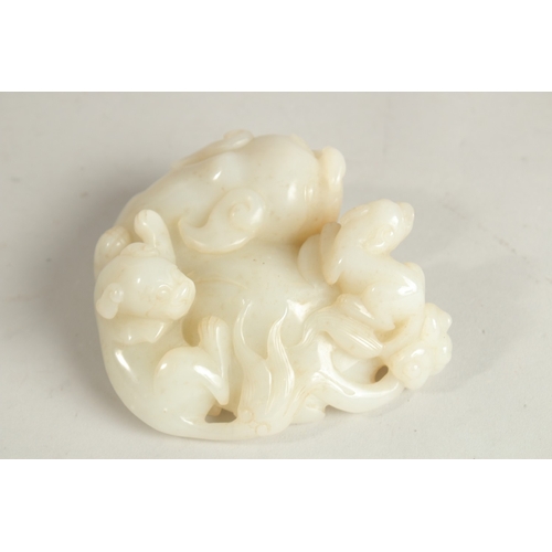 95 - A CHINESE WHITE JADE CARVING OF A MYTHICAL LION, with incised characters to base, 11cm wide, 5cm hig... 