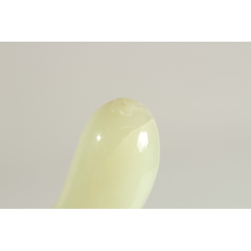 97 - A CHINESE CELADON JADE CARVING OF A CUCUMBER, 13.5cm long.