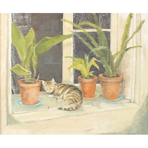 205 - BRIAN WILSON (20TH CENTURY). A cat resting amongst flowerpots on a windowsill, oil on canvas. Signed... 