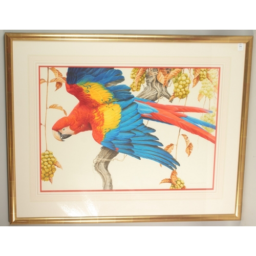 296 - DAVID ORD KERR. A scarlet macaw on a fruiting vine, watercolour. Signed. 21