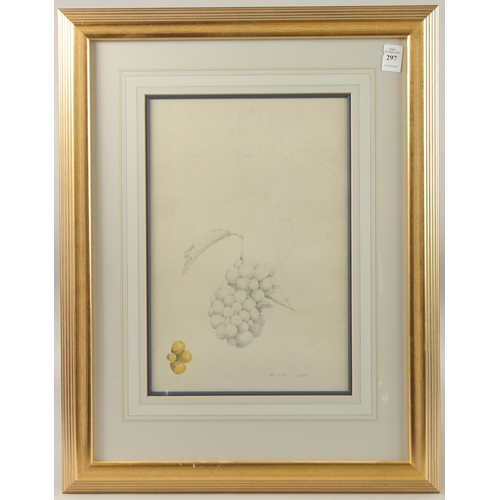 297 - DAVID ORD KERR. A study of grapes, pencil and watercolour. Signed with initials and dated 1978. 13.5... 