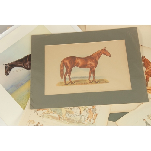 34 - A FOLDER OF VARIOUS SPORTING COLOUR PRINTS, Famous Racehorses (28).