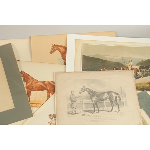 34 - A FOLDER OF VARIOUS SPORTING COLOUR PRINTS, Famous Racehorses (28).