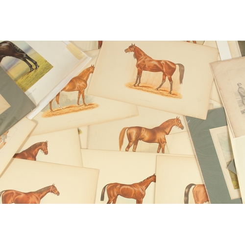 34 - A FOLDER OF VARIOUS SPORTING COLOUR PRINTS, Famous Racehorses (28).