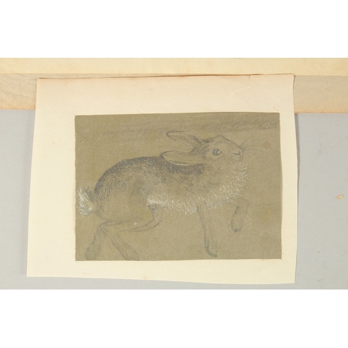 57 - EARLY 19TH CENTURY ENGLISH SCHOOL. A Study of a Hare, pencil, unframed. 6