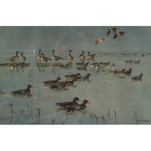 82 - PETER SCOTT. Ducks on a Pond photolithograph. Signed in pencil and numbered 99/850, area inside moun... 