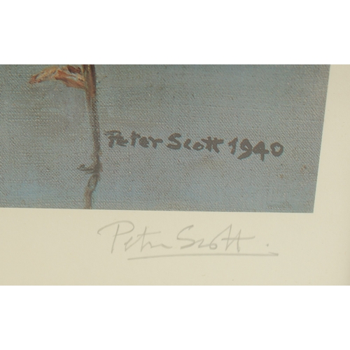 82 - PETER SCOTT. Ducks on a Pond photolithograph. Signed in pencil and numbered 99/850, area inside moun... 