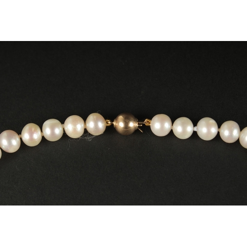 1010 - A CULTURED PEARL STRUNG NECKLACE with a 9ct yellow gold ball clasp.