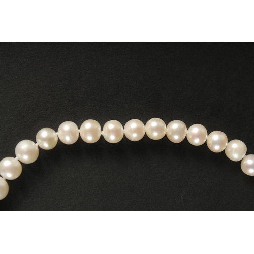 1010 - A CULTURED PEARL STRUNG NECKLACE with a 9ct yellow gold ball clasp.