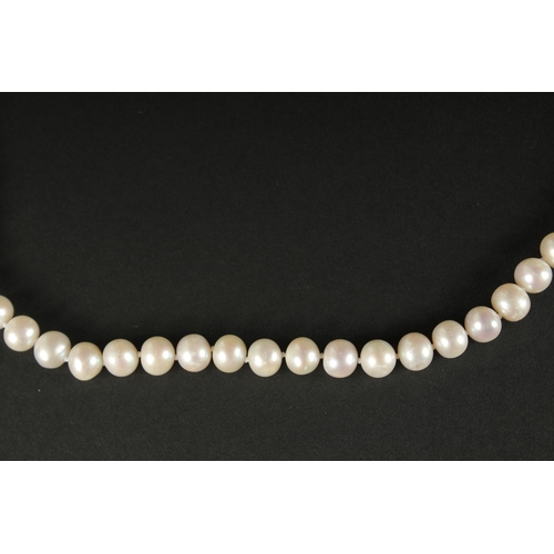 1010 - A CULTURED PEARL STRUNG NECKLACE with a 9ct yellow gold ball clasp.