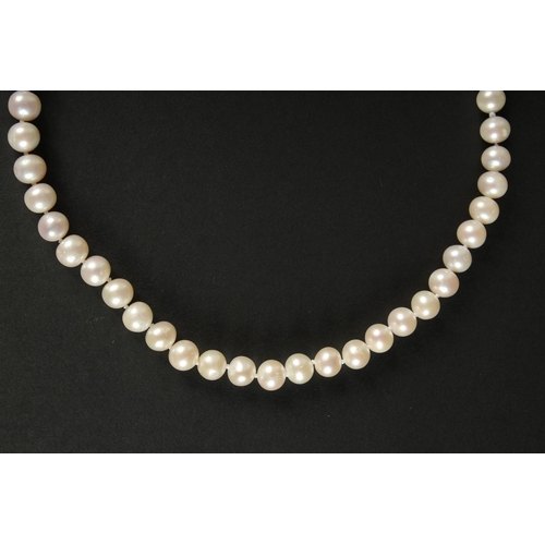 1010 - A CULTURED PEARL STRUNG NECKLACE with a 9ct yellow gold ball clasp.