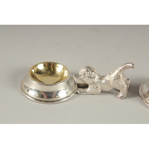 1117 - A PAIR OF SILVER-PLATED PUPPY SALTS.