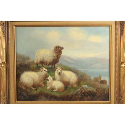 1222 - J. S. FOX. Sheep on a hillside overlooking a lake, hills in the distance. Signed. Oil on canvas. 16