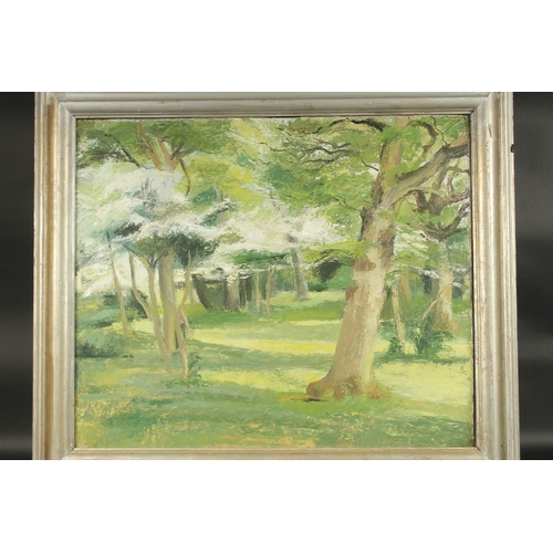 1225 - VERA BROOKMAN. Oak and may trees, Dorset. Signed on reverse. Oil on board. 20