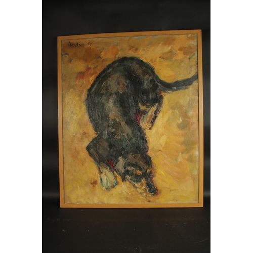 1242 - Koster, Circa 1959, an impressionst study of a resting dog, oil on canvas, signed and dated,