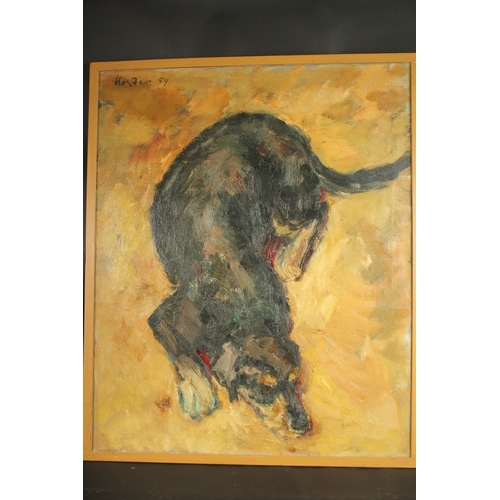 1242 - Koster, Circa 1959, an impressionst study of a resting dog, oil on canvas, signed and dated,