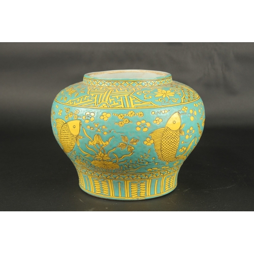 617 - A CHINESE TURQUOISE GLAZE PORCELAIN JAR, with fish and algae designs. 20cms high.