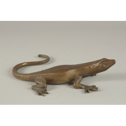 681 - A CAST BRONZE LIZARD. 25cms long.