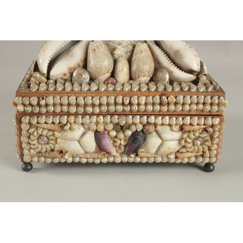 682 - A DECORATIVE VICTORIAN SHELL ENCRUSTED CASKET. 24cms long.