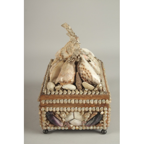 682 - A DECORATIVE VICTORIAN SHELL ENCRUSTED CASKET. 24cms long.