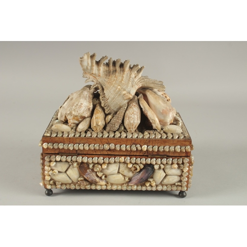 682 - A DECORATIVE VICTORIAN SHELL ENCRUSTED CASKET. 24cms long.