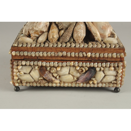 682 - A DECORATIVE VICTORIAN SHELL ENCRUSTED CASKET. 24cms long.